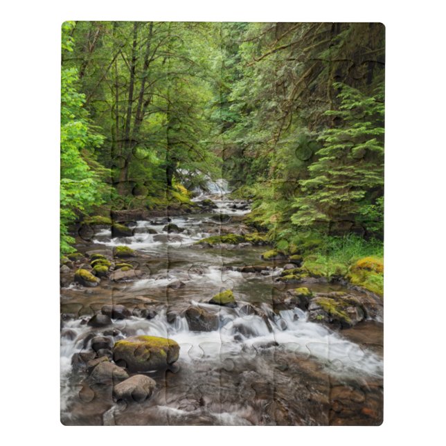 Siuslaw National Forest | Sweet Creek Jigsaw Puzzle (Puzzle Vertical)