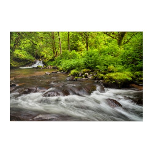 Siuslaw National Forest Sweet Creek Oregon Acrylic Print