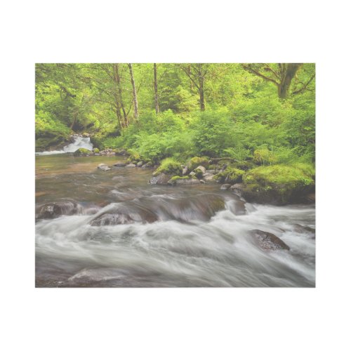 Siuslaw National Forest Sweet Creek Oregon Gallery Wrap