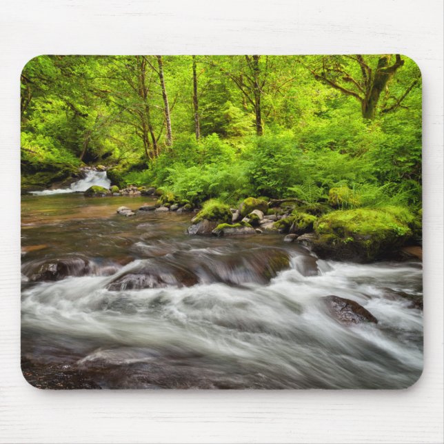 Siuslaw National Forest, Sweet Creek, Oregon Mouse Pad (Front)