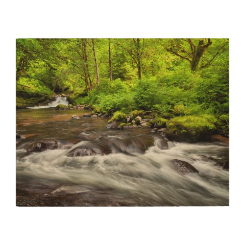 Siuslaw National Forest Sweet Creek Oregon Wood Wall Art