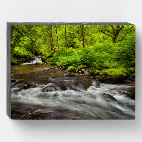 Siuslaw National Forest Sweet Creek Oregon Wooden Box Sign