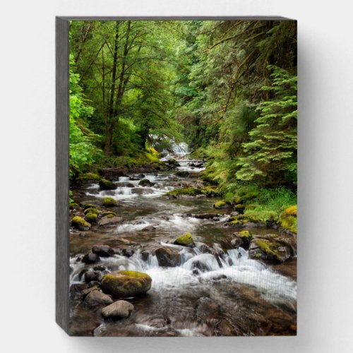 Siuslaw National Forest  Sweet Creek Wooden Box Sign