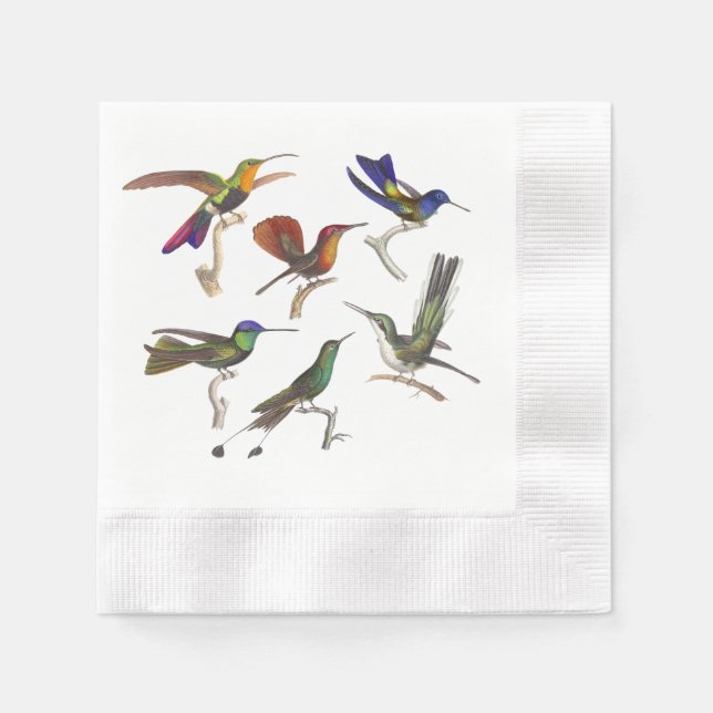Six Beautiful Hummingbirds Napkins (Front)
