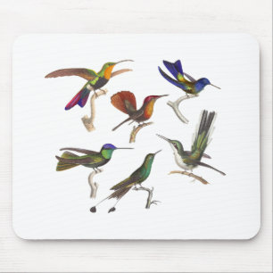 Six Colorful Hummingbirds Mouse Pad