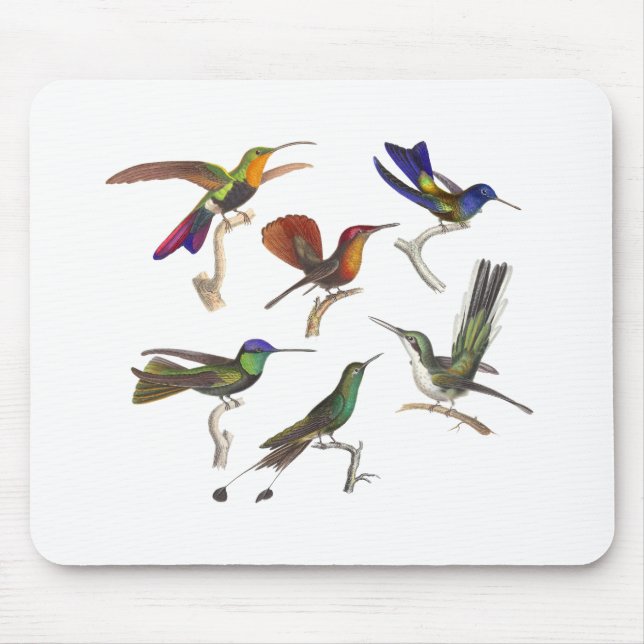 Six Colorful Hummingbirds Mouse Pad (Front)
