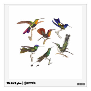 Six Colorful Hummingbirds Wall Sticker