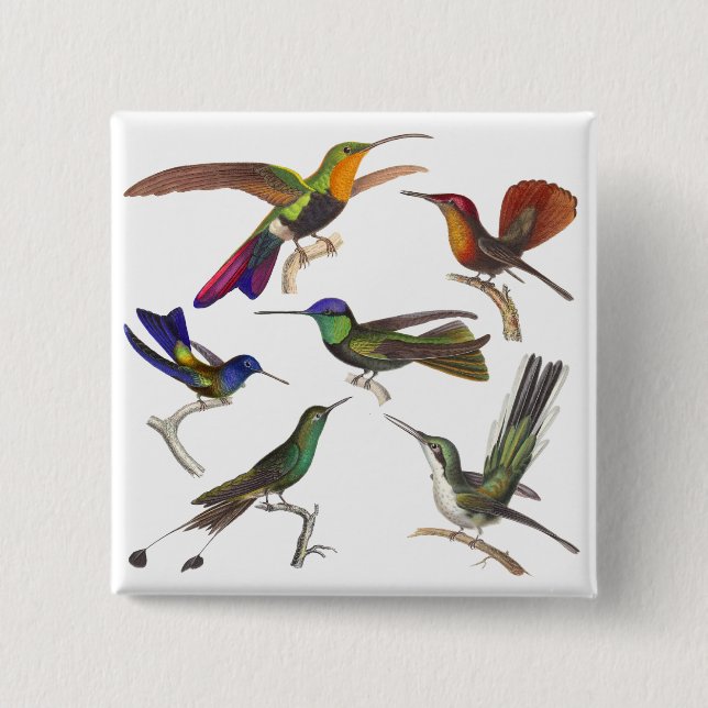 Six Different Hummingbirds - Rene Primevere Lesson Button (Front)
