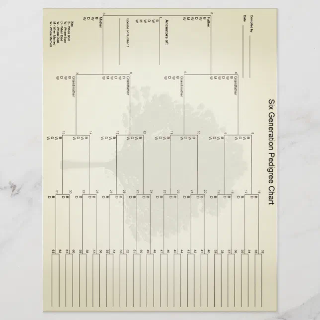 Six Generation Pedigree Paper Vintage Look | Zazzle