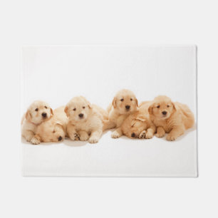 Six Golden Retriever Puppies Doormat