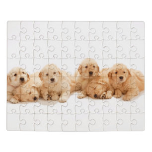 Six Golden Retriever Puppies Jigsaw Puzzle