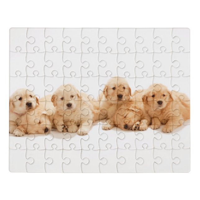 Six Golden Retriever Puppies Jigsaw Puzzle (Puzzle Horizontal)