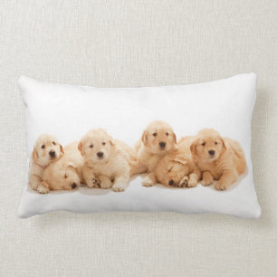 Six Golden Retriever Puppies Lumbar Pillow
