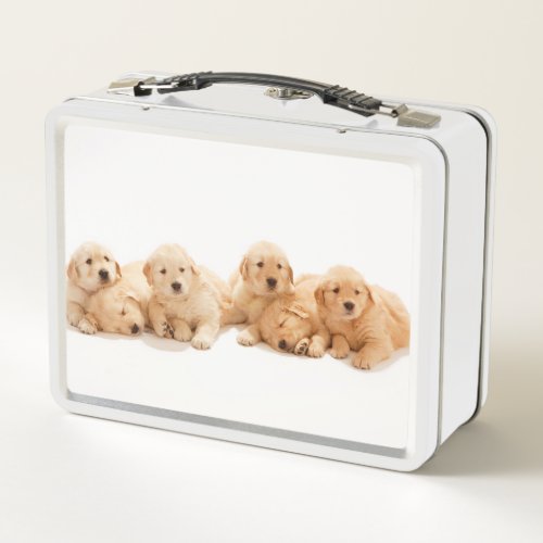Six Golden Retriever Puppies Metal Lunch Box