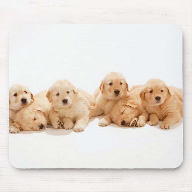 Six Golden Retriever Puppies Mouse Pad (Front)