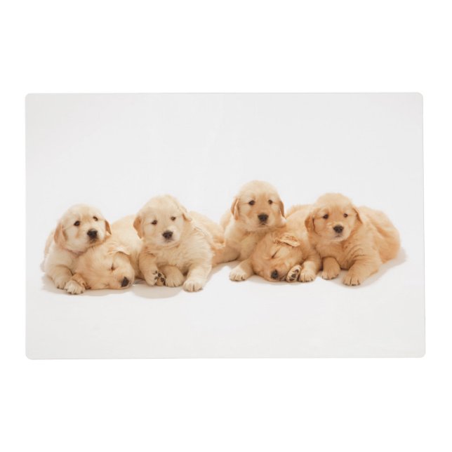 Six Golden Retriever Puppies Placemat (Front)