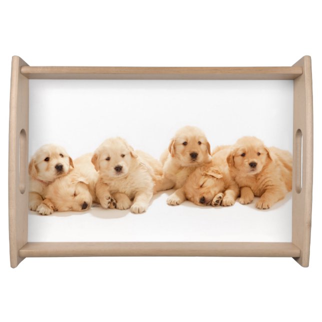 Six Golden Retriever Puppies Serving Tray (Front)
