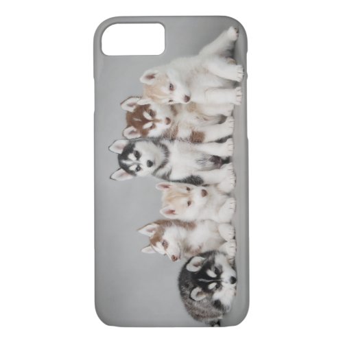 Six huskies iPhone 87 case