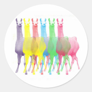 six lamas in six llama colors classic round sticker