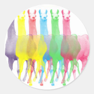 six lamas in six llama colors classic round sticker