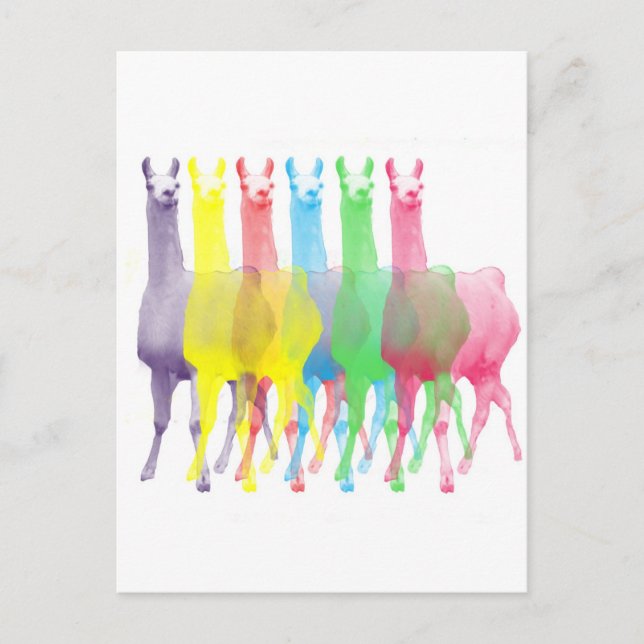 six lamas in six llama colors postcard (Front)