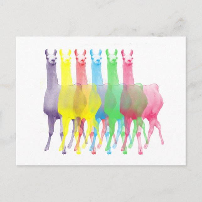 six lamas in six llama colors postcard (Front)