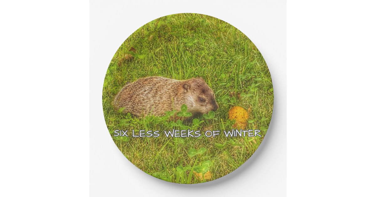 Six less weeks of winter plates | Zazzle