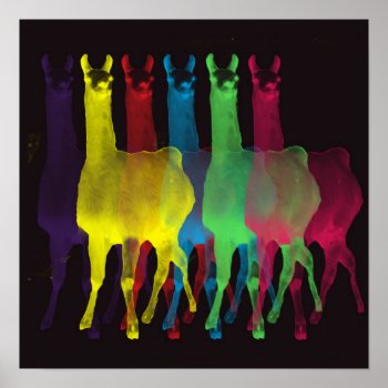Six Llamas In Six Colors Poster by boopboopadup at Zazzle