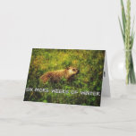 Six more weeks of winter greeting card