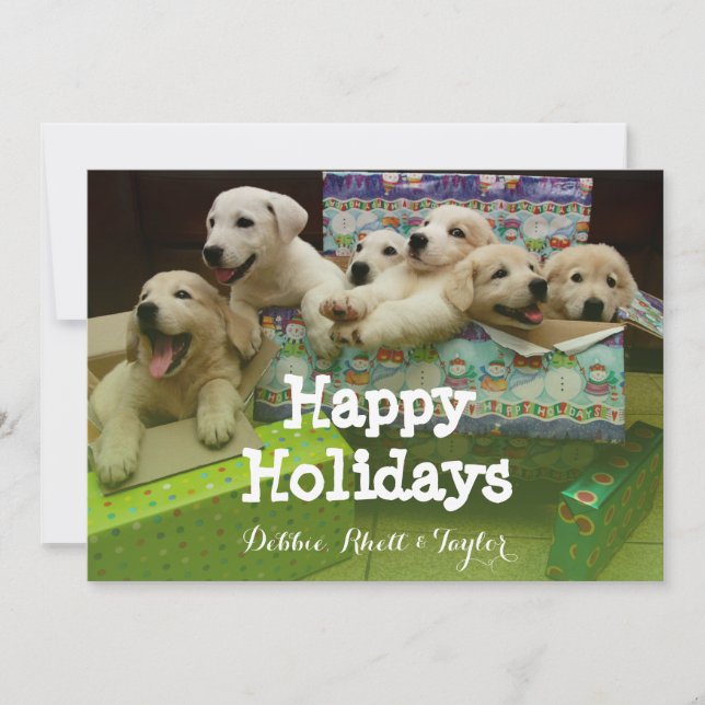 Six puppies sit in Christmas boxes Holiday Card (Front)