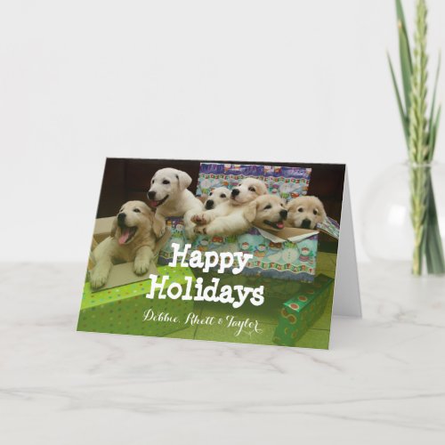 Six puppies sit in Christmas boxes Holiday Card