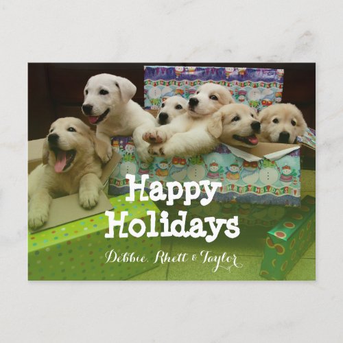 Six puppies sit in Christmas boxes Holiday Postcard
