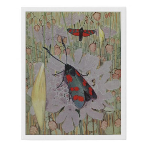 Six_spot Burnet Moth Faux Canvas Print