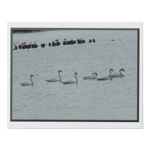 Six White Swans n Seagulls Faux Canvas Print