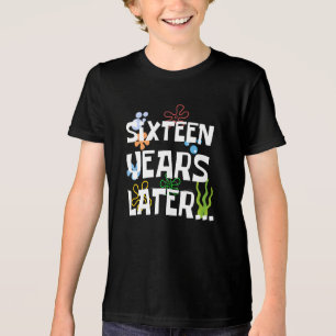 Sixteen Years Later, Funny 16th Birthday Party Tri-Blend Shirt