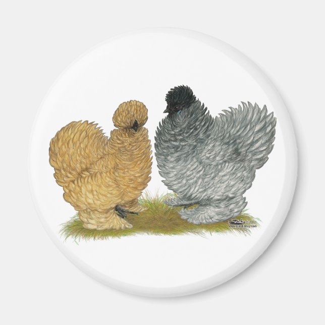 Sizzle Chickens Magnet (Front)
