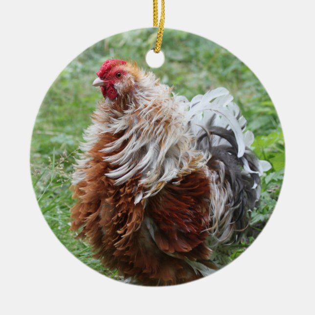 Sizzle Frizzle Fluffy Chicken Ceramic Ornament (Front)