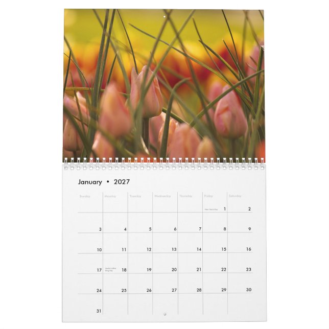 SKAGIT VALLEY TULIPS. CALENDAR (Jan 2027)