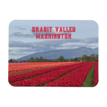 Skagit Valley Washington State Tulip Field Fridge 