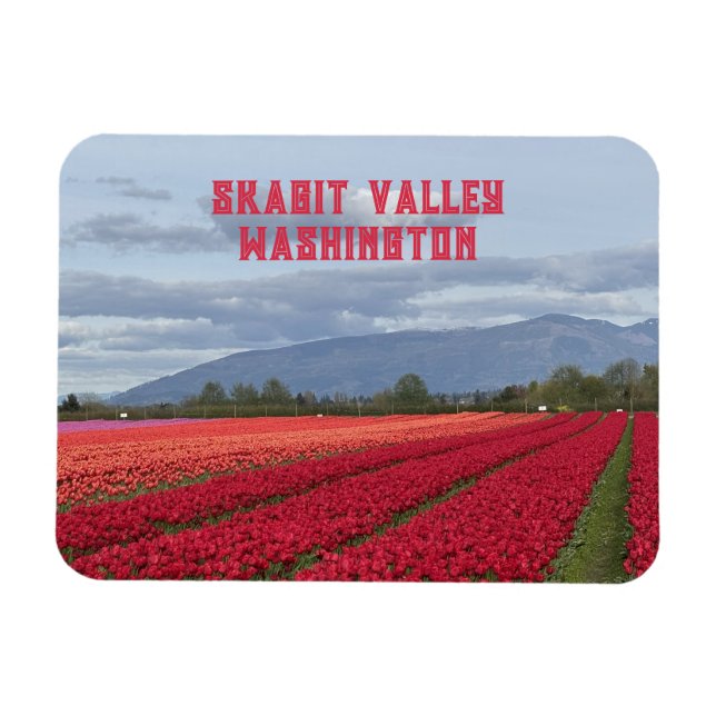 Skagit Valley Washington State Tulip Field Fridge  Magnet (Horizontal)