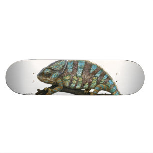 Skate chameleon skateboard