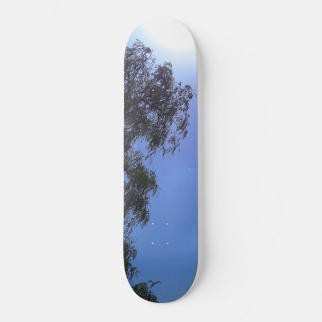SKATEBOARD  (Front)