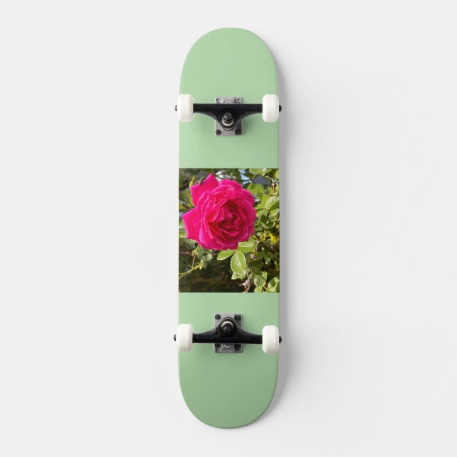 Skateboard (Front)