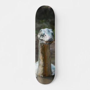 Skateboard Aquatic monster terrorized in lagoon