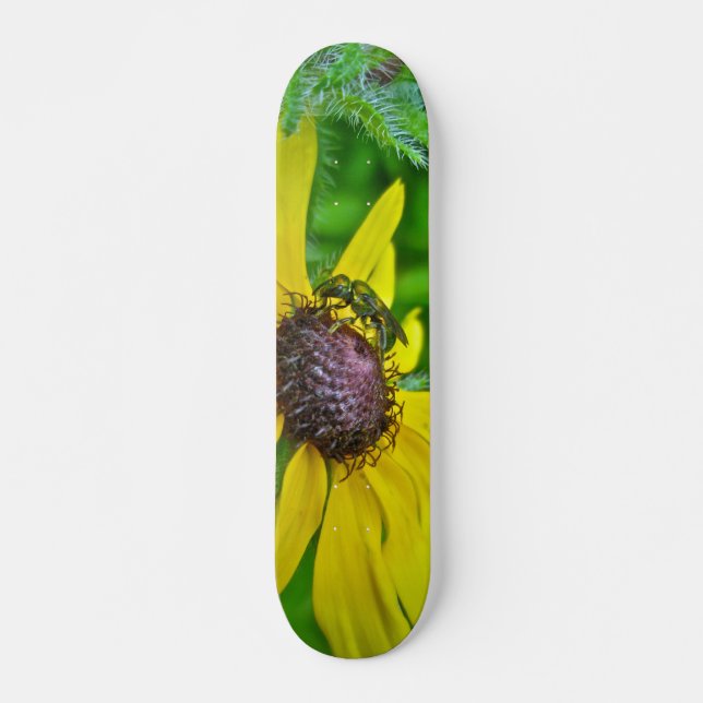 Skateboard Bee and Black Eyed Susan Deck (Front)