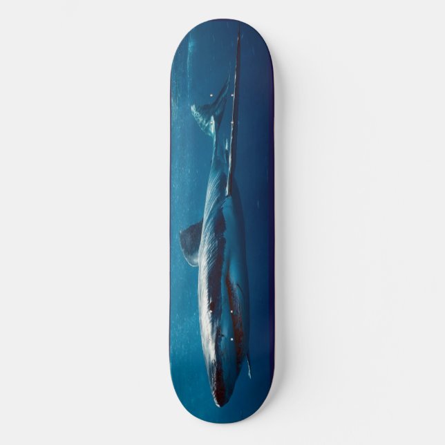 Skateboard Blue Shark Predator. (Front)