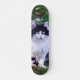 Skateboard Gato Maine Race With Long Hair