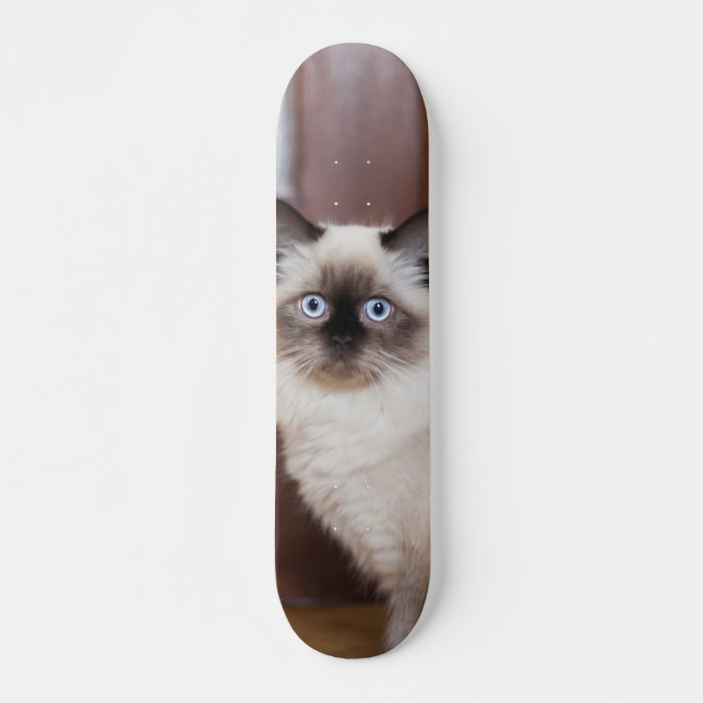 Skateboard Gato peludo de raza ragdoll (Front)