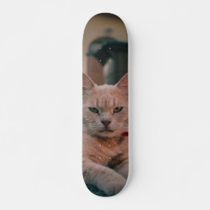 Skateboard Orange cat with serious attitude