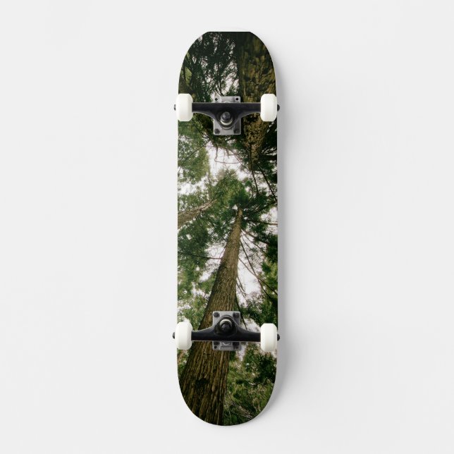 Skateboard Perspective Forest Deck (Front)